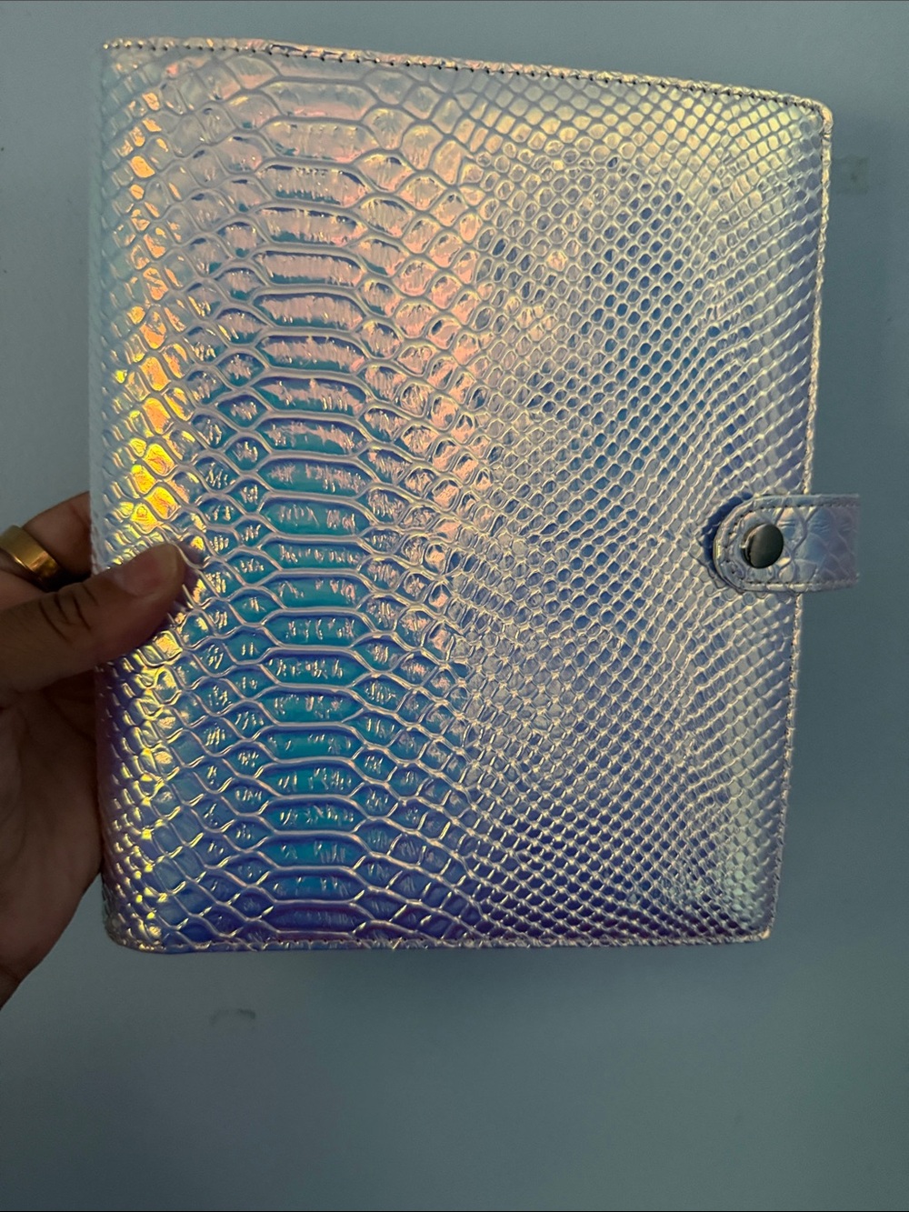 Iridescent Snake-Embossed Planner - Picture 5 of 10